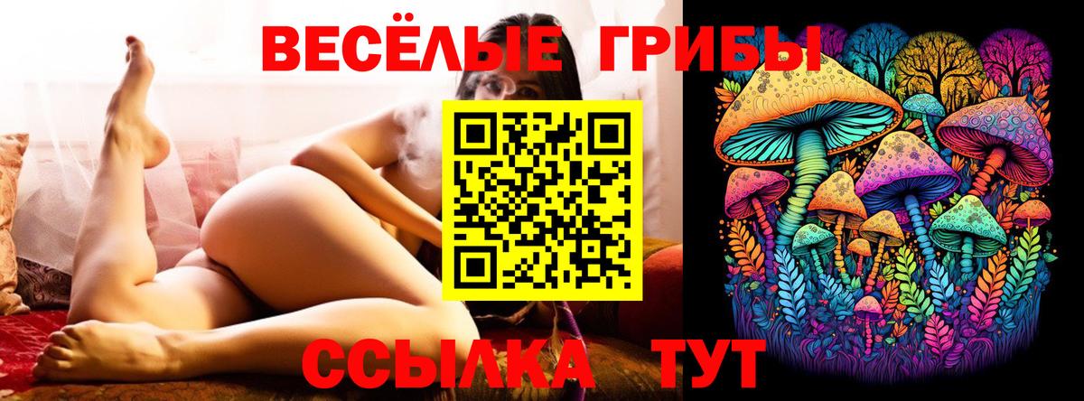 Галлюциногенные грибы GOLDEN TEACHER Строитель