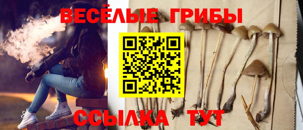 Галлюциногенные грибы Cubensis  Вход с VPN  продажа наркотиков  Строитель  Галлюциногенные грибы Magic Shrooms 
